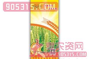 山农11-小麦种子-圣源种业