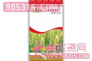 山农12-小麦种子-圣源种业农资招商产品