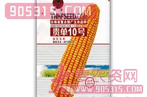 贵单10号-玉米种子-会丰种业农资招商产品