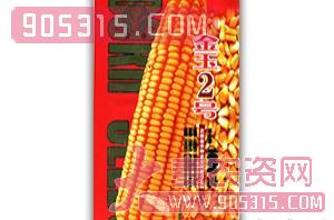 金玉2号-玉米种子-会丰种业农资招商产品