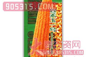 宣禾玉1号-玉米种子-会丰种业农资招商产品