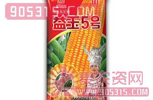 玉米杂交种子-益玉5号-万德科技农资招商产品