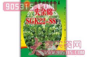 棉花种子-先杂棉SGK22-88F1-先锋农资招商产品