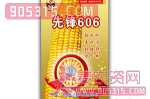 先锋606(玉米种子)-先锋农资招商产品
