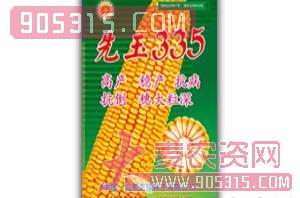 玉米种子-先玉335-先锋