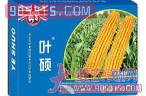 玉米专用叶面肥-叶硕-汤姆生农资招商产品