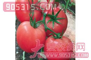 抗TY粉果番茄种子-宝丽塔-富园种业农资招商产品