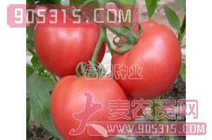 抗TY粉果番茄种子-曼达-富园种业农资招商产品