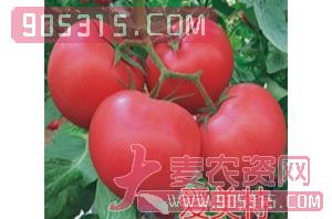 粉果番茄种子-爱美特-航瑞农业