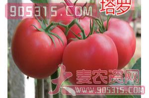 粉果番茄种子-塔罗-航瑞农业农资招商产品
