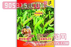 安玉13-玉米种子-农德利农资招商产品
