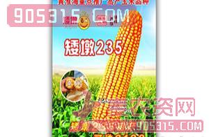 矮墩235-玉米种子-农德利农资招商产品