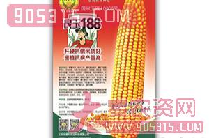良玉188-玉米种子-农德利农资招商产品