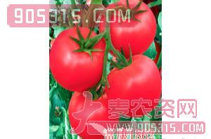 粉果番茄种子-富康1862-航瑞农业