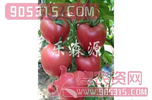 番茄种子-粉胜丽101-乐森源农资招商产品