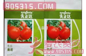番茄种子-奥诺-乐森源农资招商产品