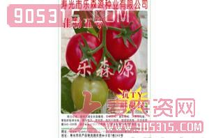 番茄种子-佳粉五号-乐森源农资招商产品
