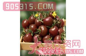 樱桃番茄种子-黑珍珠-航瑞农业农资招商产品
