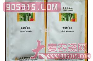 黄瓜种子-德瑞特A11-乐森源（袋）农资招商产品