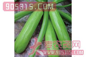西葫芦种子-骐达-航瑞农业农资招商产品