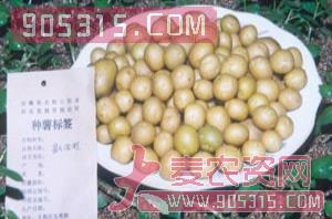 红薯种苗-恒进农业农资招商产品