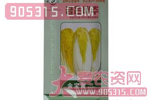 金宝黄F1-白菜种子-大地种苗