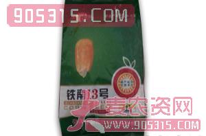 铁南13号玉米种子-四季辉煌（袋）农资招商产品