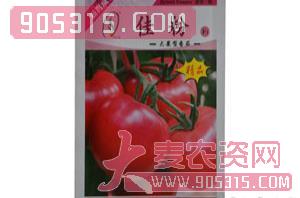 大果型番茄-番茄种子-大地种苗