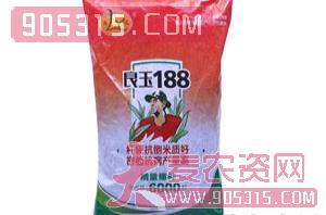 良玉188-玉米种子-方天锦浩农资招商产品