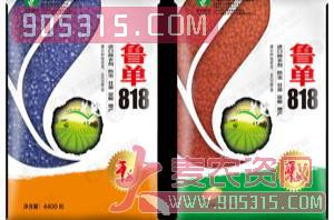 鲁单818-玉米种子-丰乐种业农资招商产品