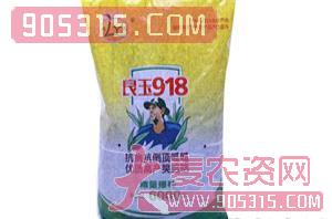 良玉918-玉米种子-方天锦浩农资招商产品