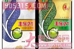 京农科921-玉米种子-丰乐种业