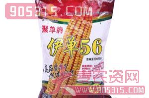 伊单56-玉米种子-方天锦浩