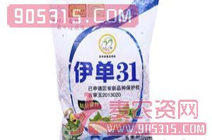 伊单31-玉米种子-方天锦浩农资招商产品