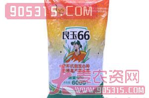 良玉66-玉米种子-方天锦浩农资招商产品