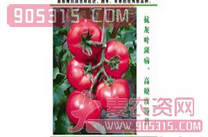 宝石1号（番茄种子）-威特农业农资招商产品