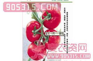 宝石6号（番茄种子）-威特农业