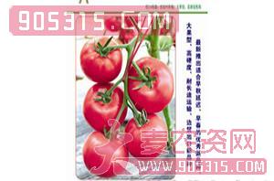 宝石8号（番茄种子）-威特农业