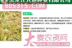 龙粳39号-水稻种子-大地种业农资招商产品