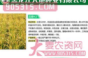 龙粳42号-水稻种子-大地种业农资招商产品