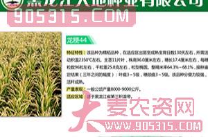 龙粳44号-水稻种子-大地种业农资招商产品