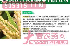 垦稻9号-水稻种子-大地种业农资招商产品