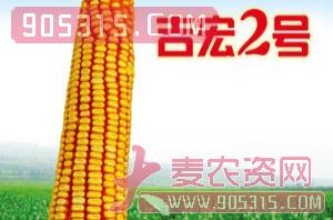 宏升2号-玉米种子-宏升种业农资招商产品