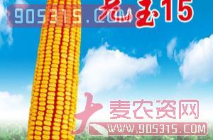 克玉15-玉米种子-宏升种业农资招商产品