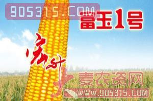 富玉1号-玉米种子-宏升种业农资招商产品