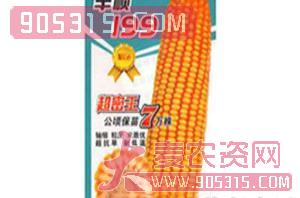 丰硕-199-玉米种子-兴农