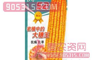 天一52-玉米种子-兴农农资招商产品