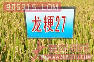 龙粳27-水稻种子-慧源农资招商产品