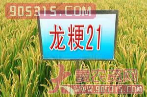 龙粳21-水稻种子-慧源农资招商产品