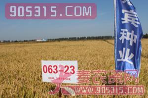 龙生02063-23-水稻种子-慧源